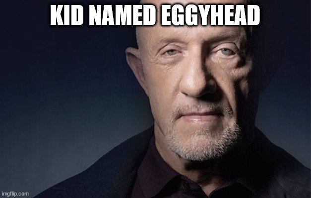 Kid Named | KID NAMED EGGYHEAD | image tagged in kid named | made w/ Imgflip meme maker