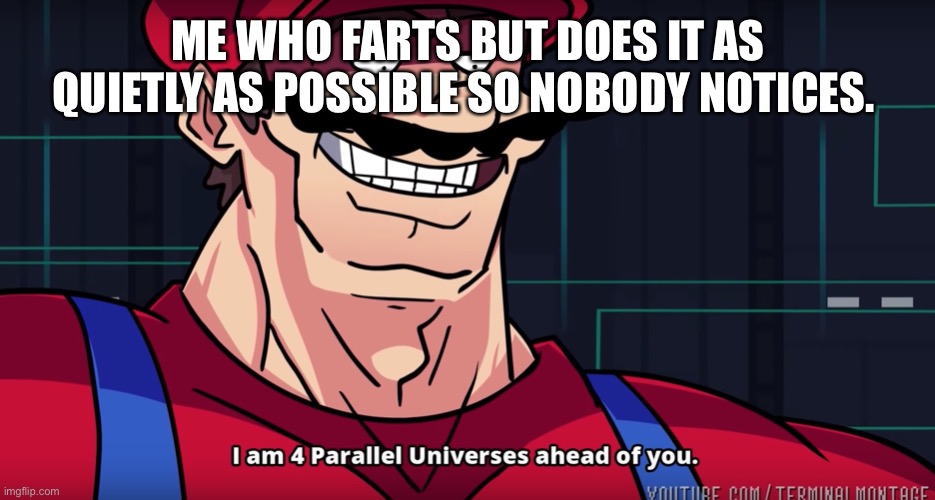 Mario I am four parallel universes ahead of you | ME WHO FARTS BUT DOES IT AS QUIETLY AS POSSIBLE SO NOBODY NOTICES. | image tagged in mario i am four parallel universes ahead of you | made w/ Imgflip meme maker