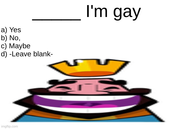 hehehehaw | _____ I'm gay; a) Yes
b) No,
c) Maybe 
d) -Leave blank- | image tagged in msmg | made w/ Imgflip meme maker