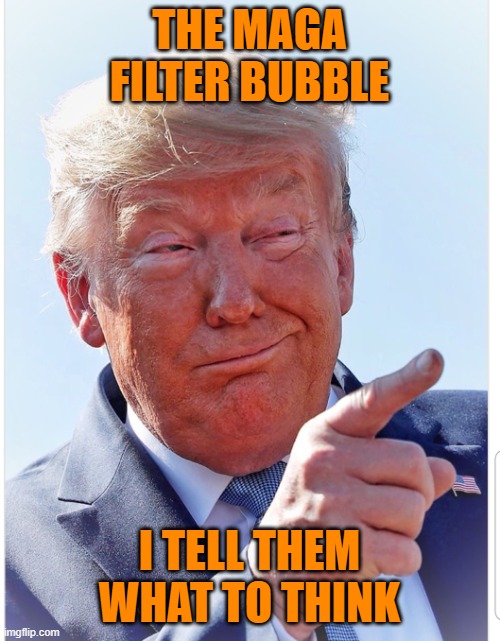 Trump pointing | THE MAGA FILTER BUBBLE I TELL THEM WHAT TO THINK | image tagged in trump pointing | made w/ Imgflip meme maker