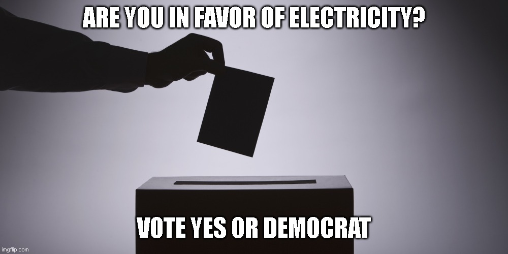 Ballot | ARE YOU IN FAVOR OF ELECTRICITY? VOTE YES OR DEMOCRAT | image tagged in ballot | made w/ Imgflip meme maker