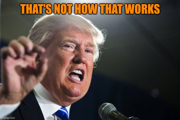 donald trump | THAT'S NOT HOW THAT WORKS | image tagged in donald trump | made w/ Imgflip meme maker