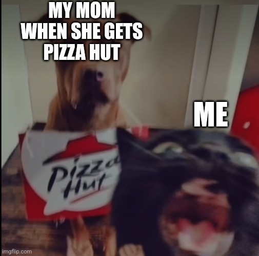 PIZZA HUT! | MY MOM
WHEN SHE GETS
PIZZA HUT; ME | image tagged in dogs an cats,funny memes | made w/ Imgflip meme maker
