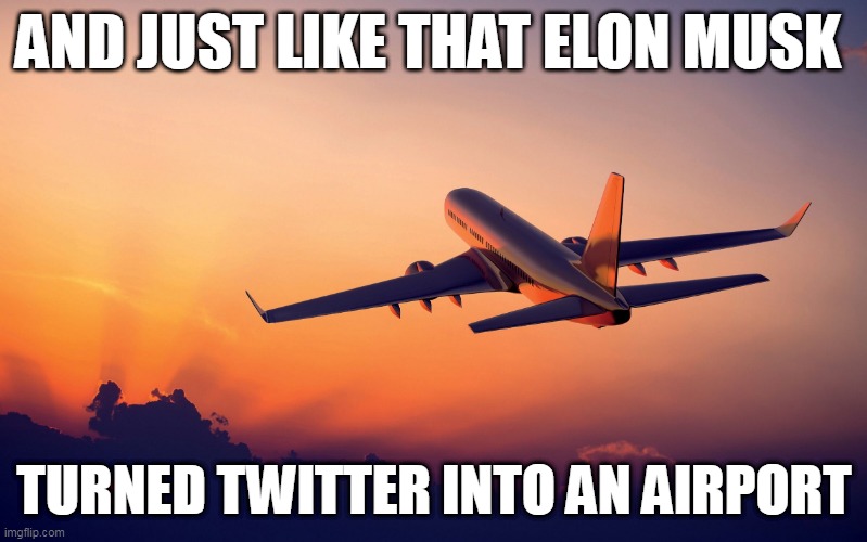 twitter departure announcements | AND JUST LIKE THAT ELON MUSK; TURNED TWITTER INTO AN AIRPORT | image tagged in airplane taking off,elon musk,twitter,whoopi goldberg,butthurt | made w/ Imgflip meme maker
