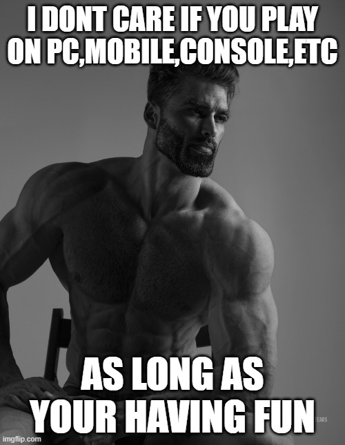 as long as your having fun :) | I DONT CARE IF YOU PLAY ON PC,MOBILE,CONSOLE,ETC; AS LONG AS YOUR HAVING FUN | image tagged in giga chad | made w/ Imgflip meme maker