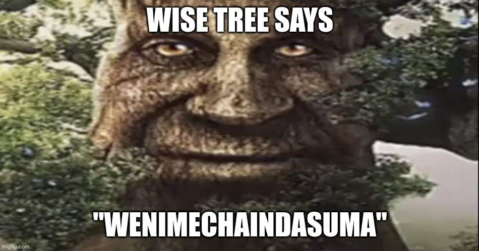just a funny haha | WISE TREE SAYS; "WENIMECHAINDASUMA" | image tagged in wise mystical tree | made w/ Imgflip meme maker