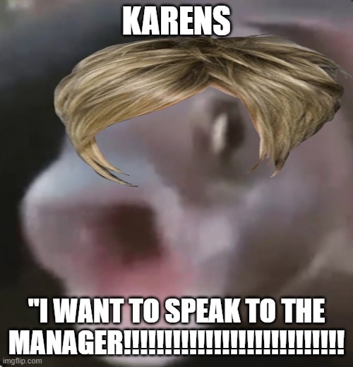 Poggers Fish | KARENS; "I WANT TO SPEAK TO THE MANAGER!!!!!!!!!!!!!!!!!!!!!!!!!!! | image tagged in poggers fish | made w/ Imgflip meme maker