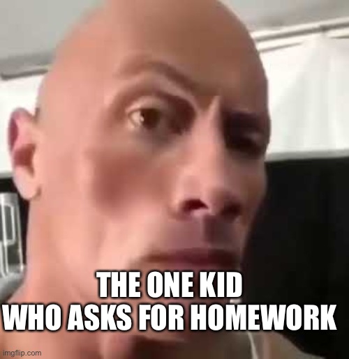 The Rock Eyebrows | THE ONE KID WHO ASKS FOR HOMEWORK | image tagged in the rock eyebrows | made w/ Imgflip meme maker