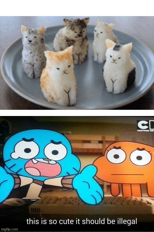 sushi cats | image tagged in this is so cute it should be illegal | made w/ Imgflip meme maker