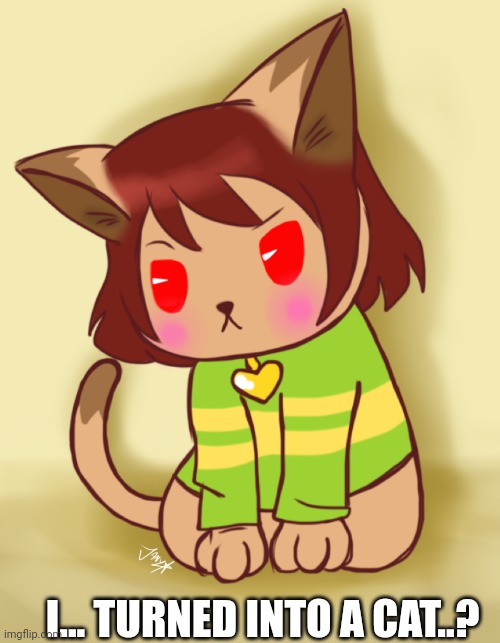 I... TURNED INTO A CAT..? | made w/ Imgflip meme maker
