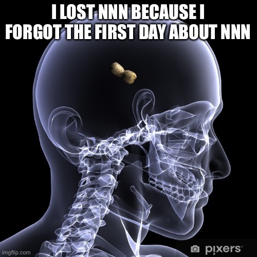 But I can I can do it next year (Imagine) | I LOST NNN BECAUSE I FORGOT THE FIRST DAY ABOUT NNN | image tagged in peanut brain | made w/ Imgflip meme maker