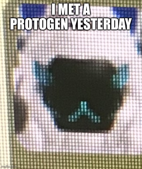 PROTOGEN | I MET A PROTOGEN YESTERDAY | image tagged in proto | made w/ Imgflip meme maker