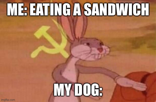 our | ME: EATING A SANDWICH; MY DOG: | image tagged in our | made w/ Imgflip meme maker