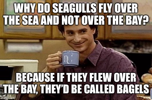 Dad Joke | WHY DO SEAGULLS FLY OVER THE SEA AND NOT OVER THE BAY? BECAUSE IF THEY FLEW OVER THE BAY, THEY’D BE CALLED BAGELS | image tagged in dad joke | made w/ Imgflip meme maker