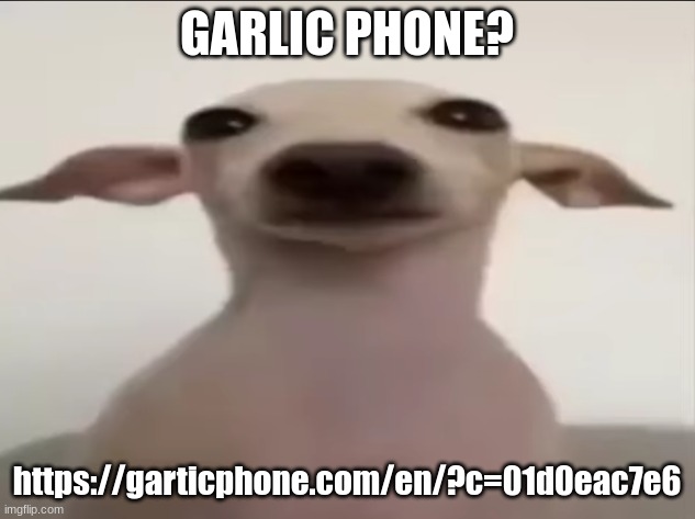 dogbby | GARLIC PHONE? https://garticphone.com/en/?c=01d0eac7e6 | image tagged in dogbby | made w/ Imgflip meme maker