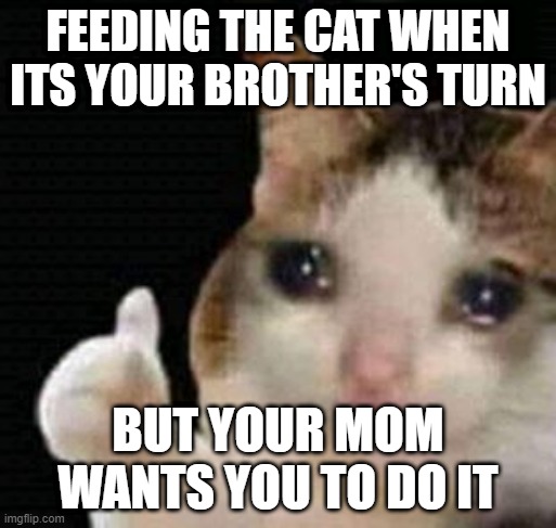 sad thumbs up cat | FEEDING THE CAT WHEN ITS YOUR BROTHER'S TURN; BUT YOUR MOM WANTS YOU TO DO IT | image tagged in sad thumbs up cat | made w/ Imgflip meme maker