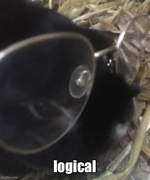 logical | made w/ Imgflip meme maker