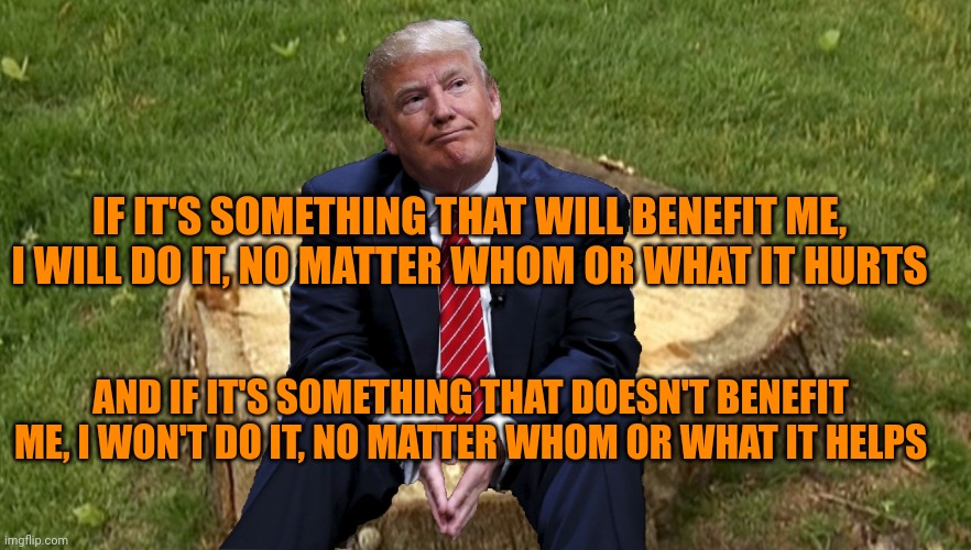 Trump on a stump | IF IT'S SOMETHING THAT WILL BENEFIT ME, I WILL DO IT, NO MATTER WHOM OR WHAT IT HURTS; AND IF IT'S SOMETHING THAT DOESN'T BENEFIT ME, I WON'T DO IT, NO MATTER WHOM OR WHAT IT HELPS | image tagged in trump on a stump | made w/ Imgflip meme maker