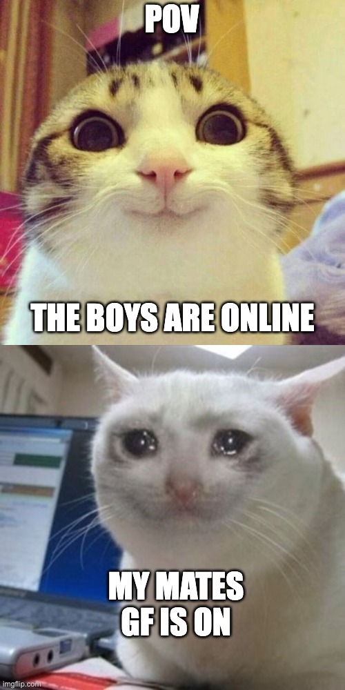 its sad | POV; THE BOYS ARE ONLINE; MY MATES GF IS ON | image tagged in memes,smiling cat,crying cat | made w/ Imgflip meme maker