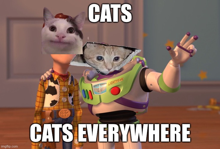 X, X Everywhere | CATS; CATS EVERYWHERE | image tagged in memes,x x everywhere | made w/ Imgflip meme maker