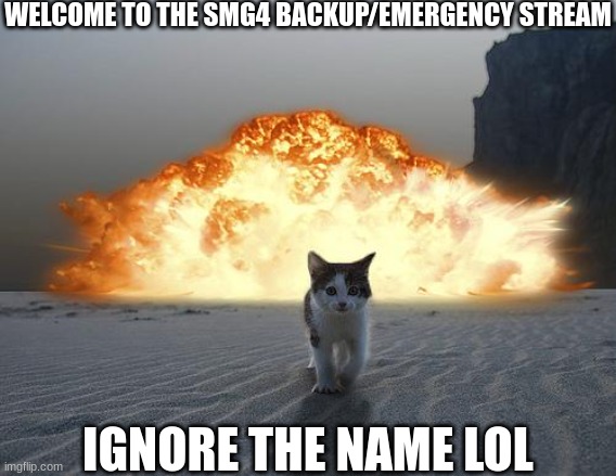 Welcome | WELCOME TO THE SMG4 BACKUP/EMERGENCY STREAM; IGNORE THE NAME LOL | image tagged in cat explosion,smg4 backup,smg4,hello,cat | made w/ Imgflip meme maker