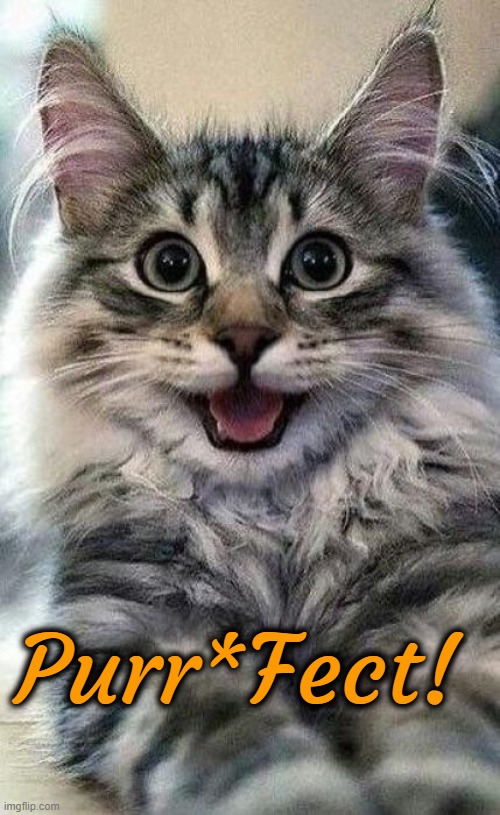 Happy Cat | Purr*Fect! | image tagged in happy cat,perfect | made w/ Imgflip meme maker