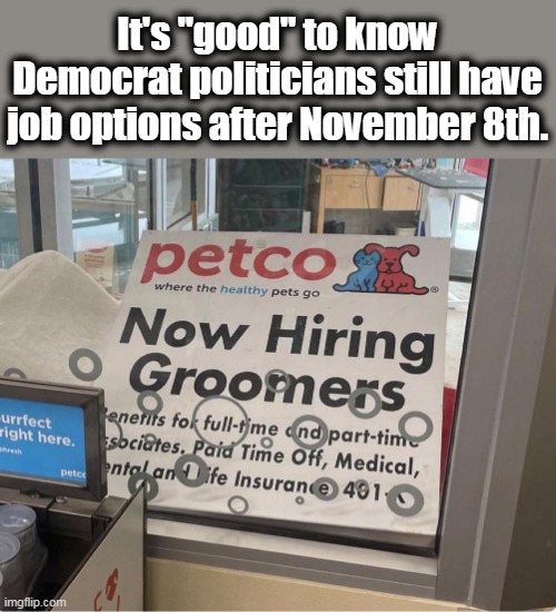"Of course I'm qualified!  I'm a Democrat!!" | It's "good" to know Democrat politicians still have job options after November 8th. | image tagged in democrat groomers,child molester,child abuse,pedophiles | made w/ Imgflip meme maker