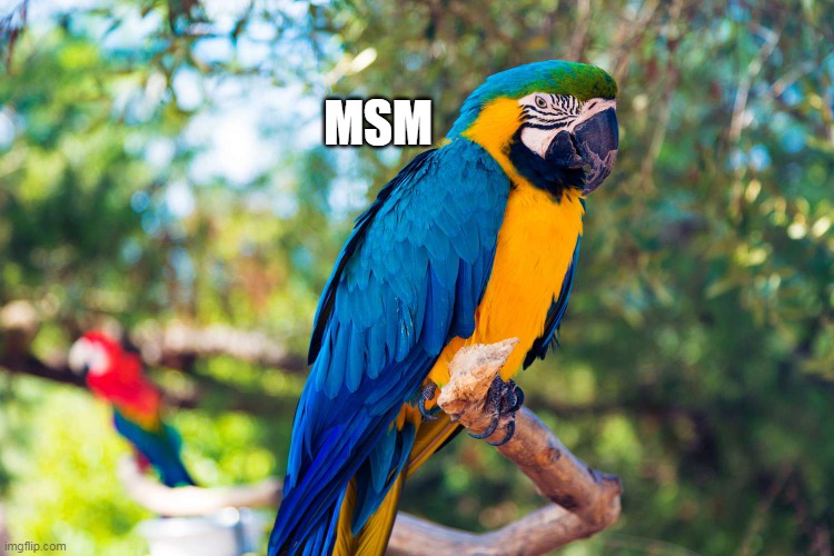 MSM | made w/ Imgflip meme maker