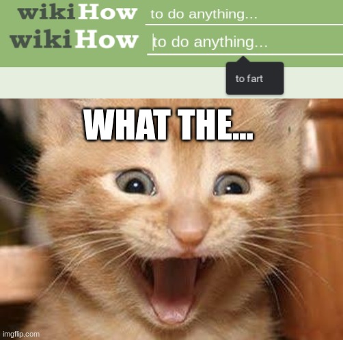 Wiki how to... |  WHAT THE... | image tagged in memes,excited cat | made w/ Imgflip meme maker