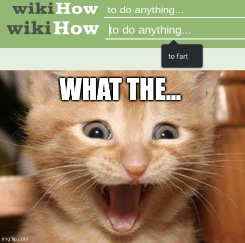 Wiki how to... | WHAT THE... | image tagged in memes,excited cat | made w/ Imgflip meme maker