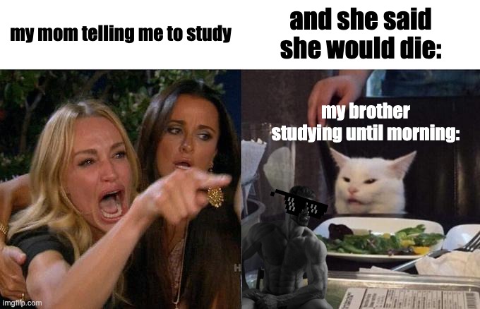 siblingers | my mom telling me to study; and she said she would die:; my brother studying until morning: | image tagged in memes,woman yelling at cat | made w/ Imgflip meme maker
