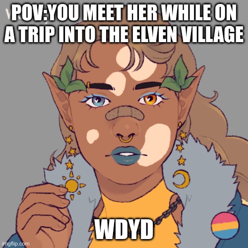 POV:YOU MEET HER WHILE ON A TRIP INTO THE ELVEN VILLAGE; WDYD | made w/ Imgflip meme maker