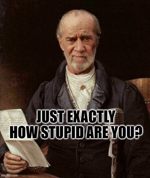 George Carlin |  JUST EXACTLY HOW STUPID ARE YOU? | image tagged in george carlin | made w/ Imgflip meme maker