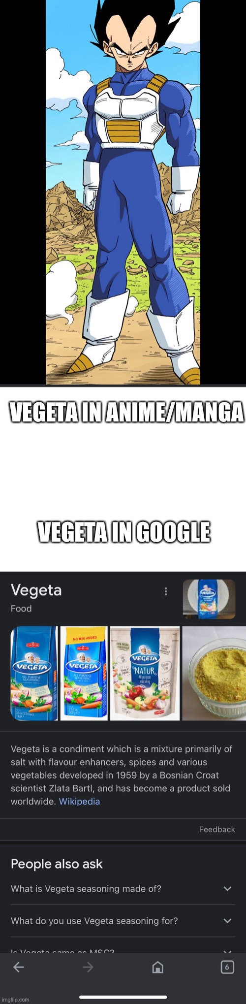 Vegeta in Google | VEGETA IN ANIME/MANGA; VEGETA IN GOOGLE | image tagged in funny memes | made w/ Imgflip meme maker