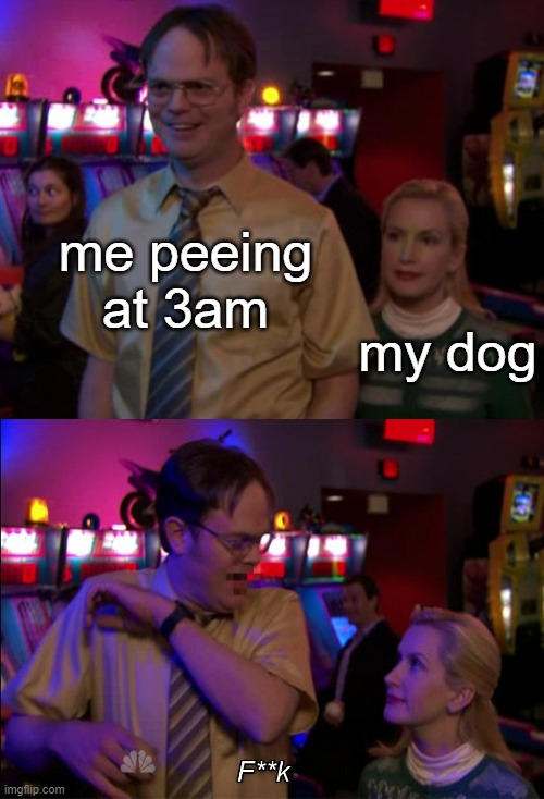 Angela scared Dwight | me peeing at 3am; my dog | image tagged in angela scared dwight | made w/ Imgflip meme maker