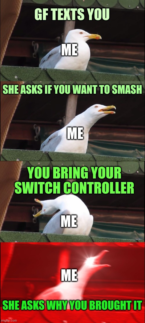 GF asks if you want to smash | GF TEXTS YOU; ME; SHE ASKS IF YOU WANT TO SMASH; ME; YOU BRING YOUR SWITCH CONTROLLER; ME; ME; SHE ASKS WHY YOU BROUGHT IT | image tagged in memes,inhaling seagull,nsfw,smash,girlfriend,smashing | made w/ Imgflip meme maker