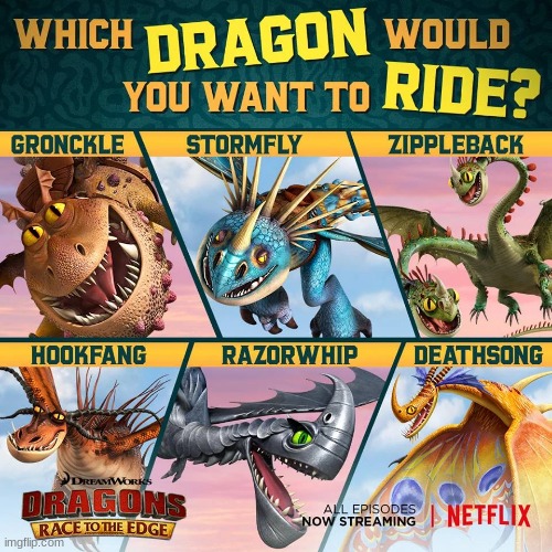 It's your choice my friend (Note: This is from a promotional thing from a httyd Netflix series) | made w/ Imgflip meme maker