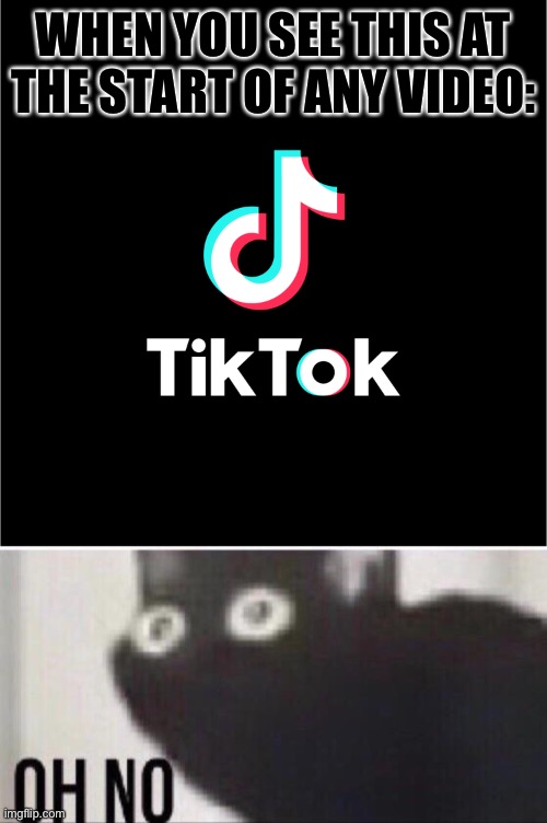 WHEN YOU SEE THIS AT THE START OF ANY VIDEO: | image tagged in tiktok logo,oh no cat | made w/ Imgflip meme maker