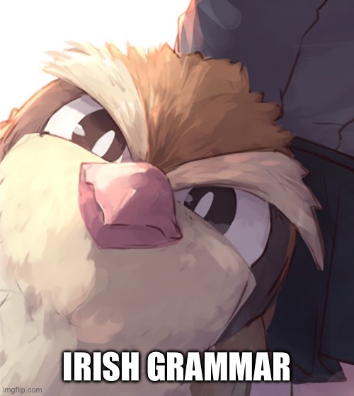 Insane Pidgey | IRISH GRAMMAR | image tagged in insane pidgey | made w/ Imgflip meme maker