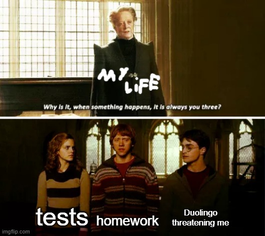 Always you three | Duolingo threatening me; tests; homework | image tagged in always you three | made w/ Imgflip meme maker