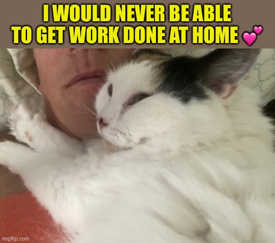 I WOULD NEVER BE ABLE TO GET WORK DONE AT HOME ? | made w/ Imgflip meme maker