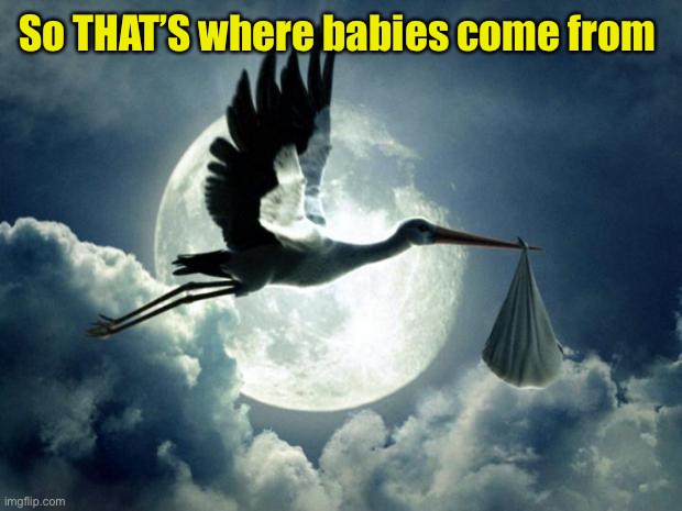 stork | So THAT’S where babies come from | image tagged in stork | made w/ Imgflip meme maker