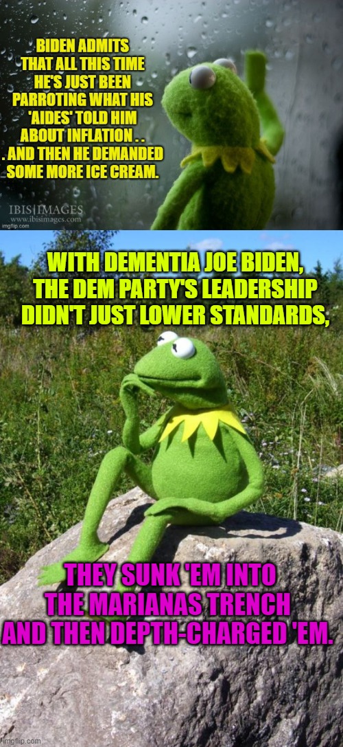 Stop asking Dems how low can they go as a Party, since they take it as a challenge. | WITH DEMENTIA JOE BIDEN, THE DEM PARTY'S LEADERSHIP DIDN'T JUST LOWER STANDARDS, THEY SUNK 'EM INTO THE MARIANAS TRENCH AND THEN DEPTH-CHARGED 'EM. | image tagged in very low | made w/ Imgflip meme maker