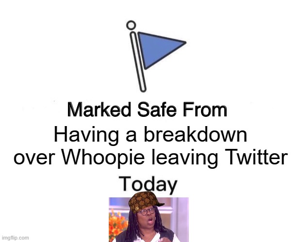 Didn't think I could go on, but somehow I managed | Having a breakdown over Whoopie leaving Twitter | image tagged in whoopie,the view,moron,twitter | made w/ Imgflip meme maker