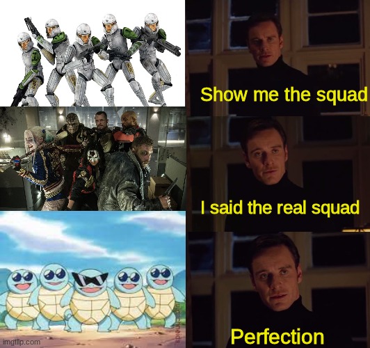 why did this take 15 minutes | Show me the squad; I said the real squad; Perfection | image tagged in perfection | made w/ Imgflip meme maker