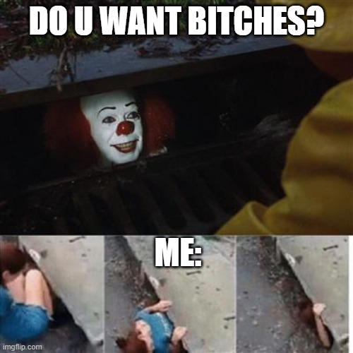 I get no bitches | DO U WANT BITCHES? ME: | image tagged in pennywise in sewer,no bitches | made w/ Imgflip meme maker