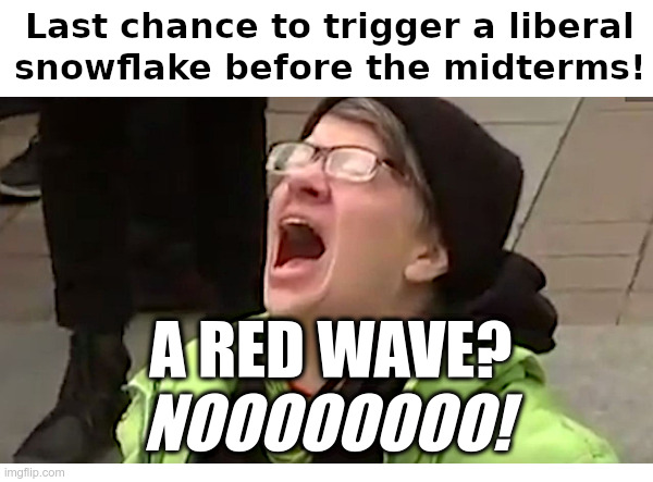 Last chance to trigger a liberal snowflake! | image tagged in liberal,triggered liberal,red wave,midterms | made w/ Imgflip meme maker