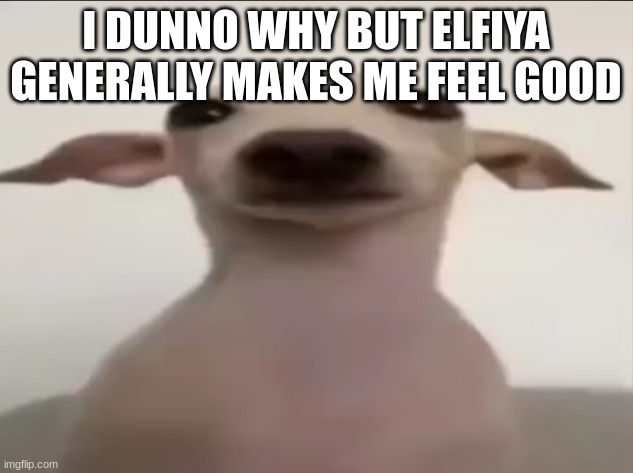 dogbby | I DUNNO WHY BUT ELFIYA GENERALLY MAKES ME FEEL GOOD | image tagged in dogbby | made w/ Imgflip meme maker