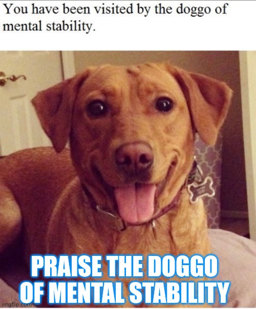 Mental Stability Doggo | PRAISE THE DOGGO OF MENTAL STABILITY | image tagged in doggo,mental health | made w/ Imgflip meme maker