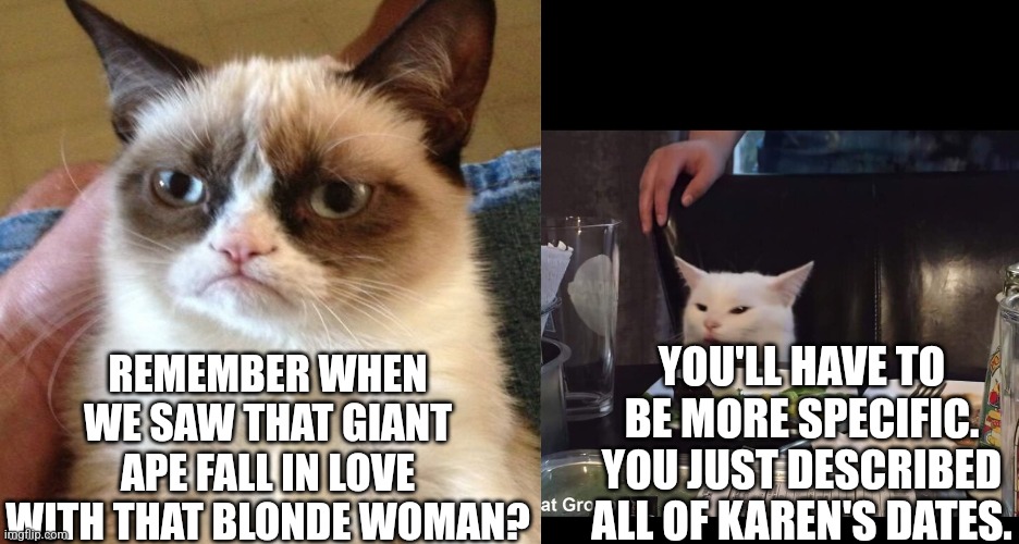 REMEMBER WHEN WE SAW THAT GIANT APE FALL IN LOVE WITH THAT BLONDE WOMAN? YOU'LL HAVE TO BE MORE SPECIFIC. YOU JUST DESCRIBED ALL OF KAREN'S DATES. | image tagged in smudge the cat | made w/ Imgflip meme maker